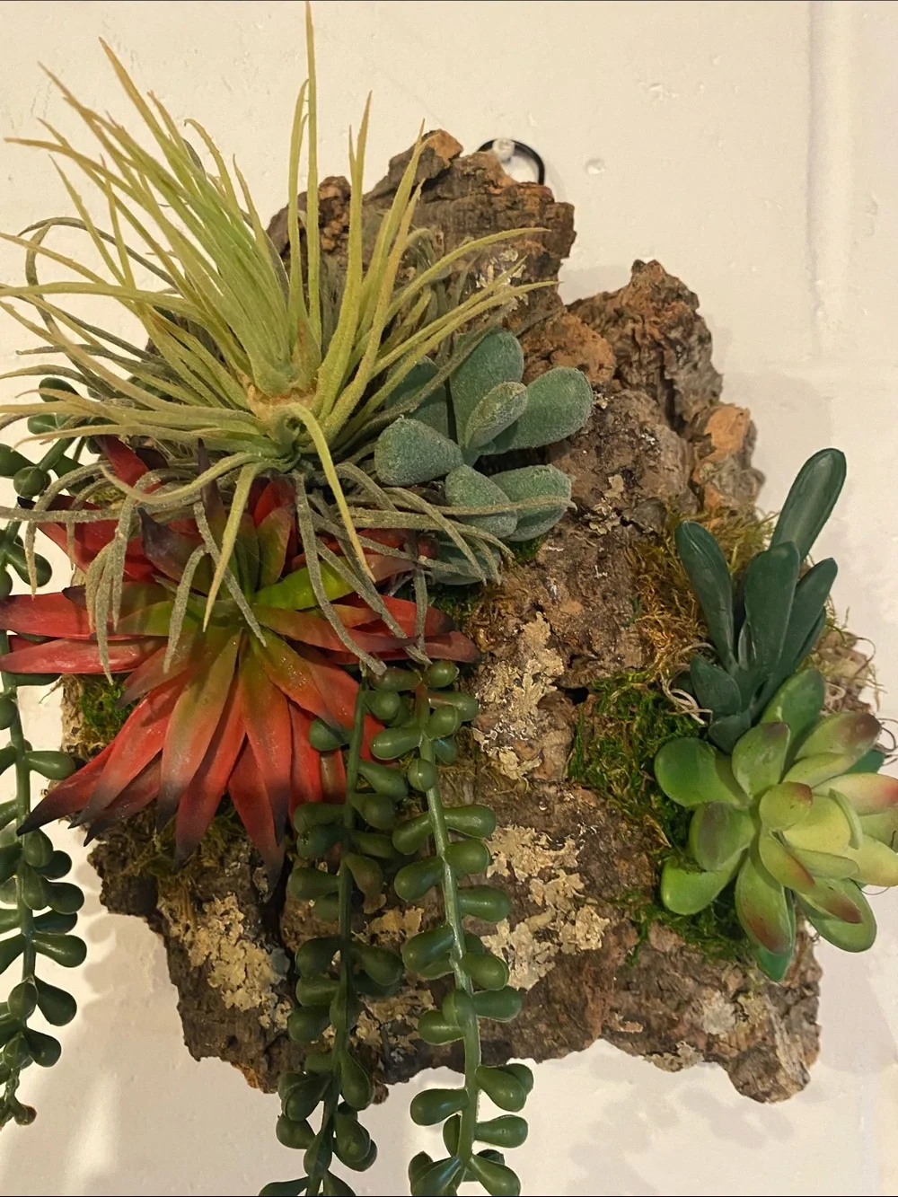 Faux succulent wall decor on Australian cork Handmade